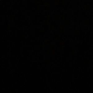 Meet your Posher, Elenna